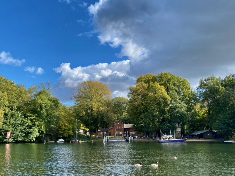 Insel Scharfenberg im Tegeler See, Sommer