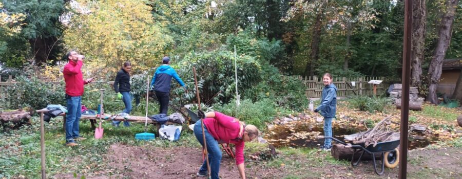 Foto Gartentag 2025 mehrere Helfende arbeiten im Garten