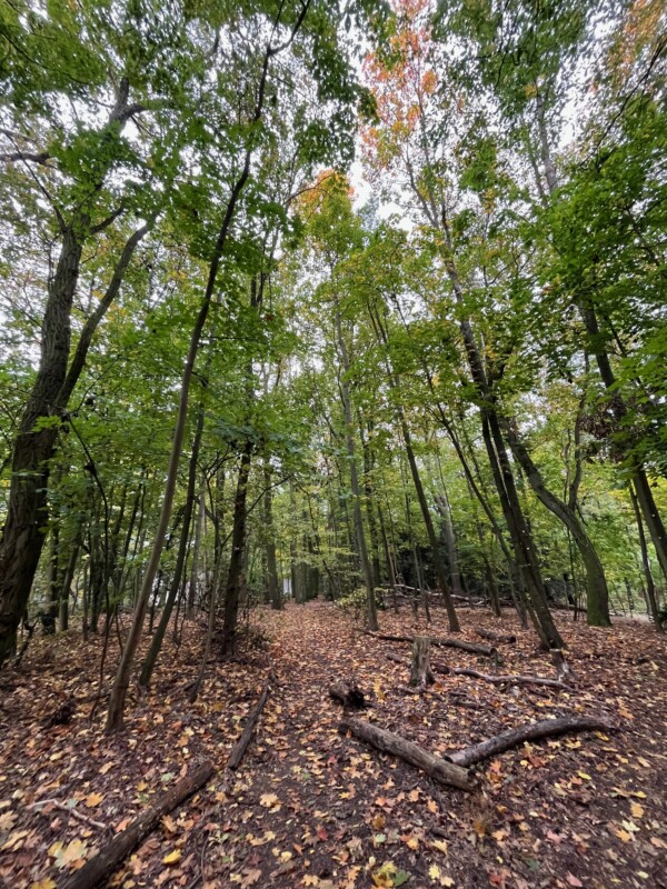 Gartentag - Impressionen der Insel