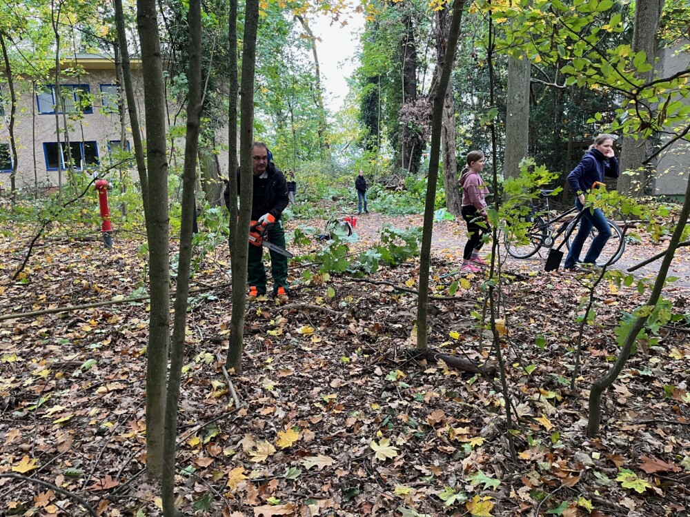 Gartentag - Helfende