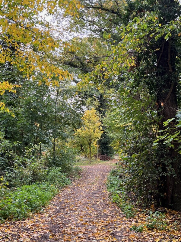 Gartentag - Impressionen der Insel