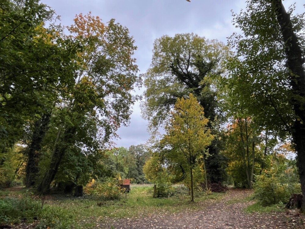 Gartentag - Impressionen der Insel