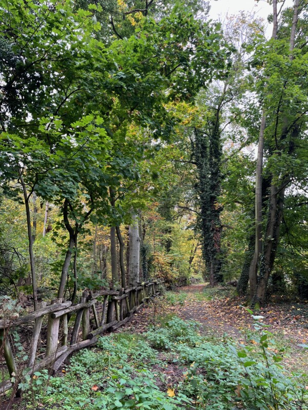 Gartentag - Impressionen der Insel