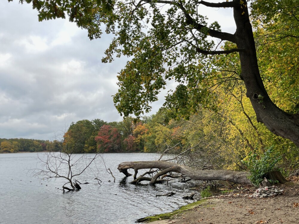 Gartentag - Impressionen der Insel