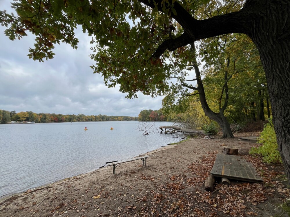 Gartentag - Impressionen der Insel