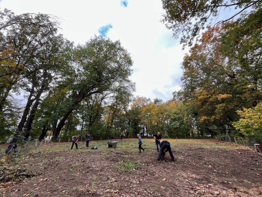 Arbeiten am Gartentag - Gruppenbild