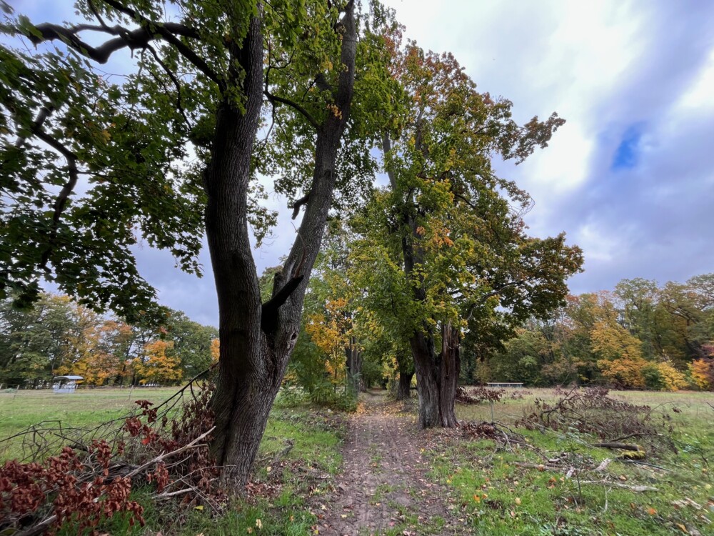 Gartentag - Impressionen der Insel