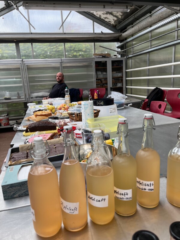 Arbeiten am Gartentag - Blick über das Buffet